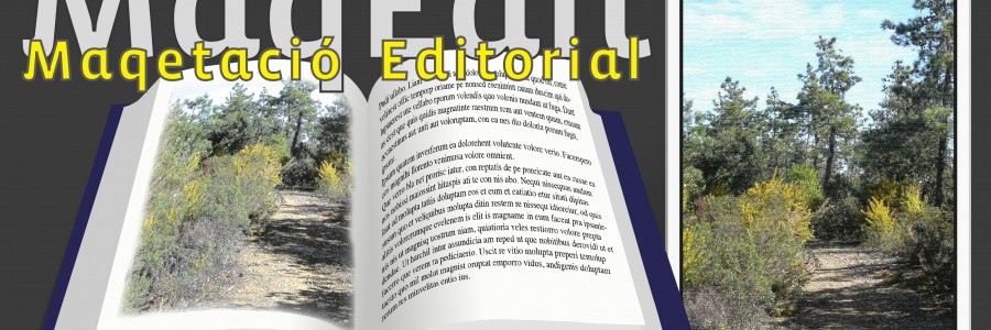 Maquetació de revistes